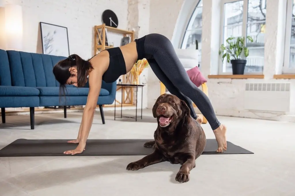 friends-young-woman-working-out-home-doing-yoga-exercises-with-dog-beautiful-woman-stretching-practicing-wellness-wellbeing-healthcare-mental-health-lifestyle-concept.jpg